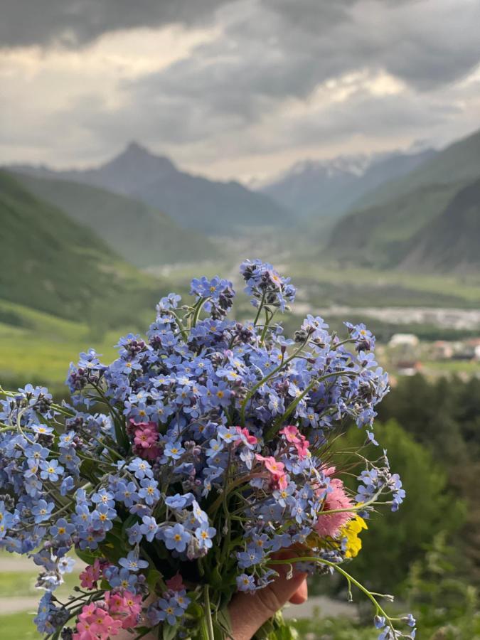 Aura Cottages Kazbegi Exterior foto